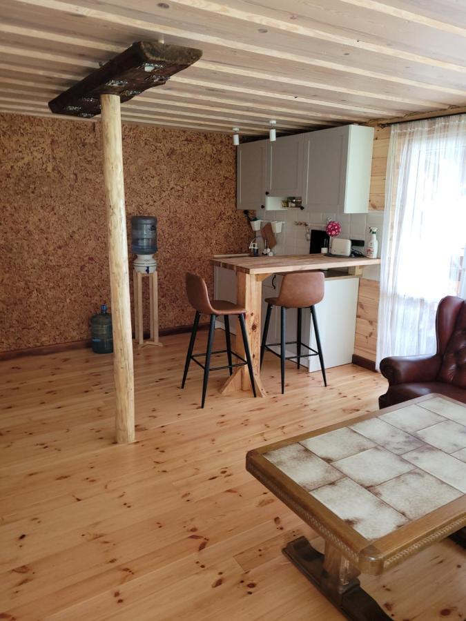 Krāslava Zarini 빌라 외부 사진